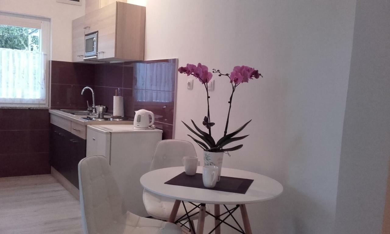 Apartment Tip Top Rovinj Kültér fotó